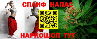 гидра Славянск-на-Кубани
