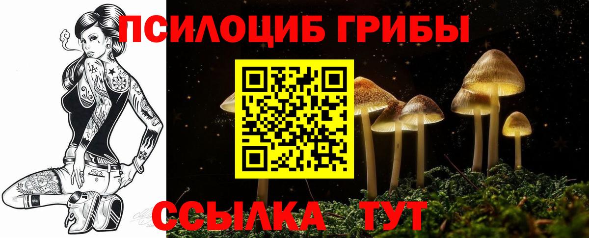 Пугачёв  Галлюциногенные грибы GOLDEN TEACHER  Вход с VPN 