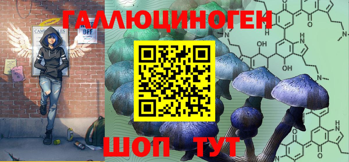 Псилоцибиновые грибы Cubensis Пугачёв